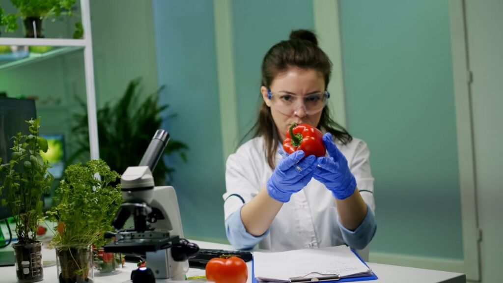 food safety compliance and risk management